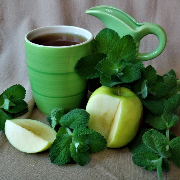 мята яблочная apple mint