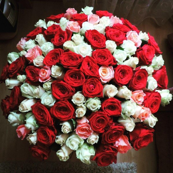 огромные букеты роз