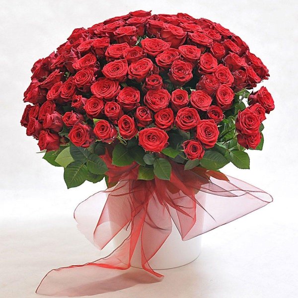 букет шикарный