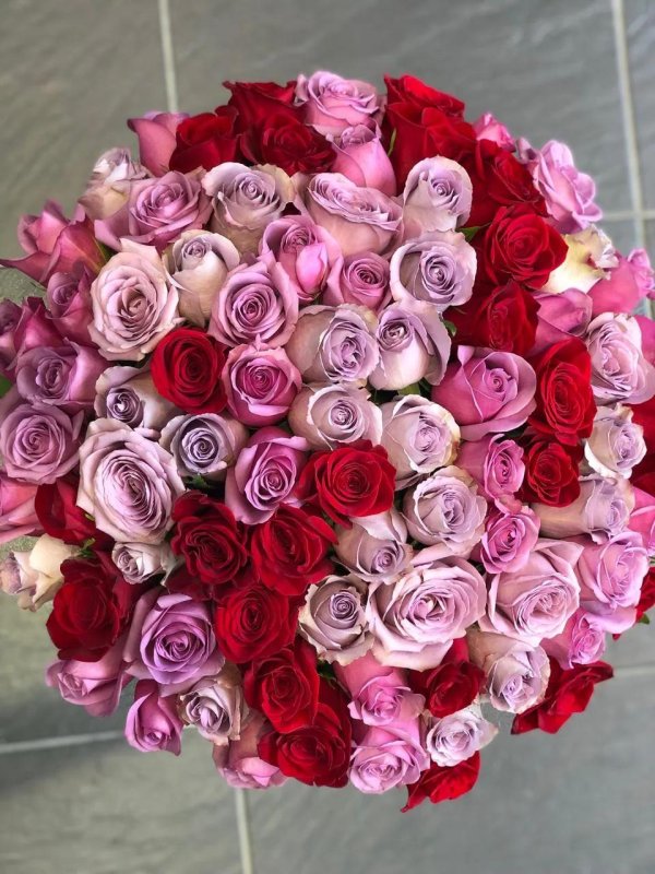 разные розы