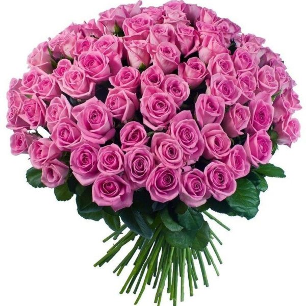 101 розовая роза
