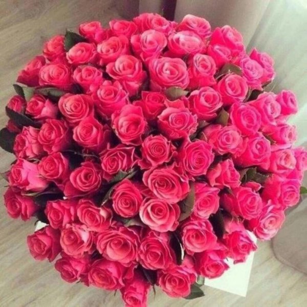 розы букеты шикарные