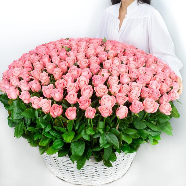 розы корзина