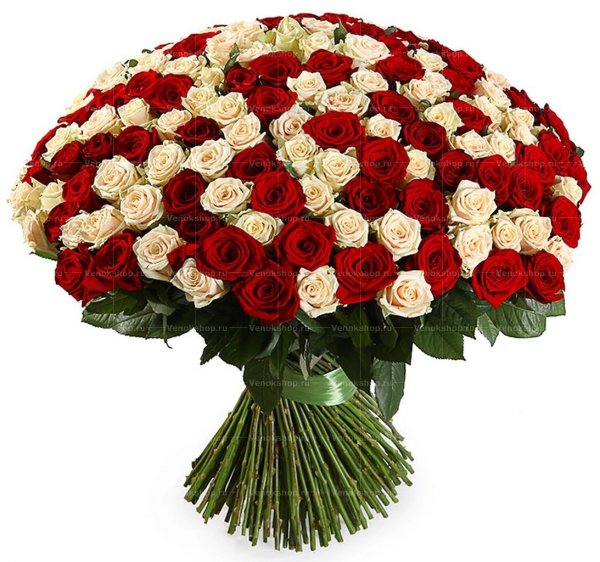 красивый букет