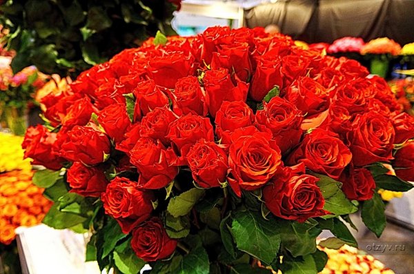 роскошные букеты цветов