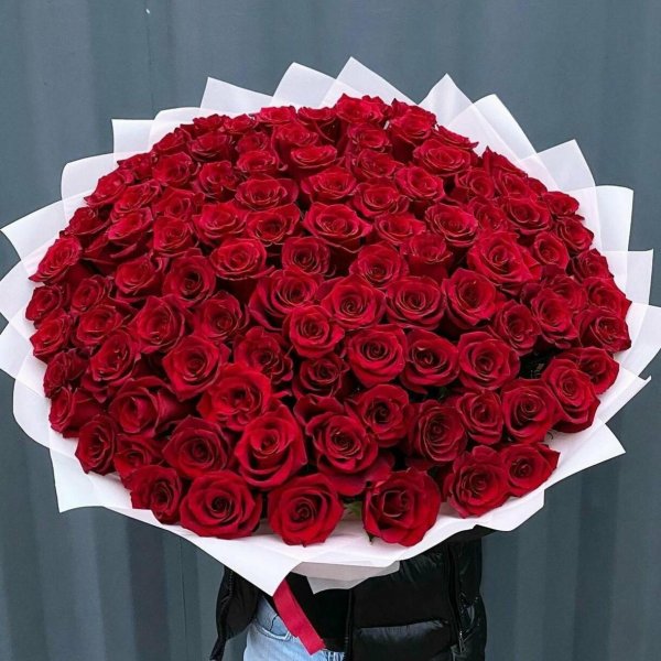 101 роза красная