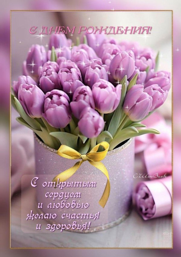 розовые тюльпаны