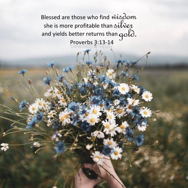 цветок полевой