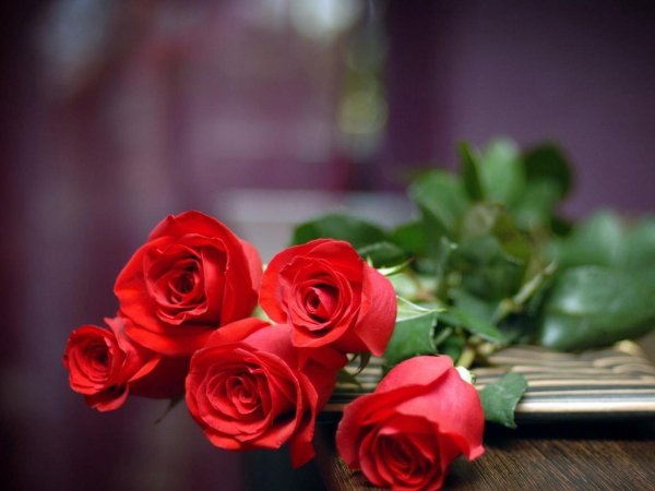 шикарные цветы