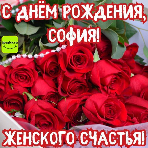 с днём рождения софия поздравления