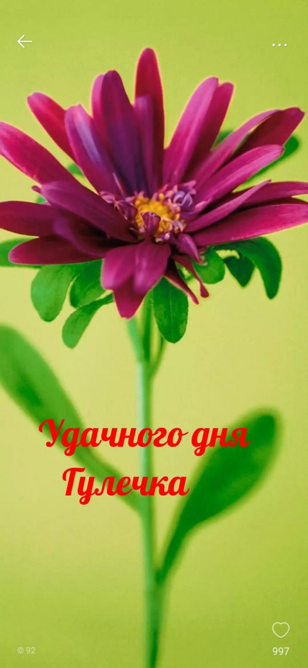 С днем рождения гульнара