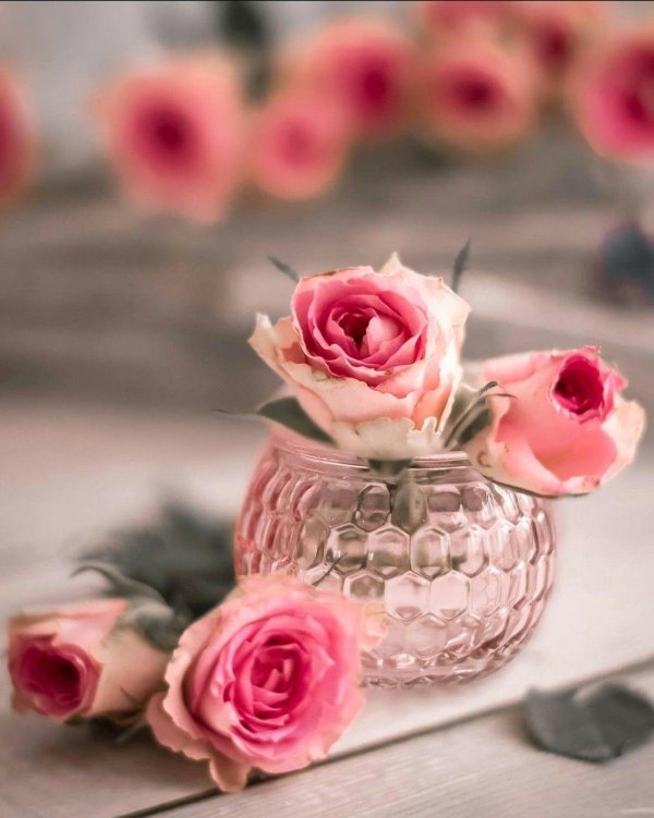 доброе утро светлана