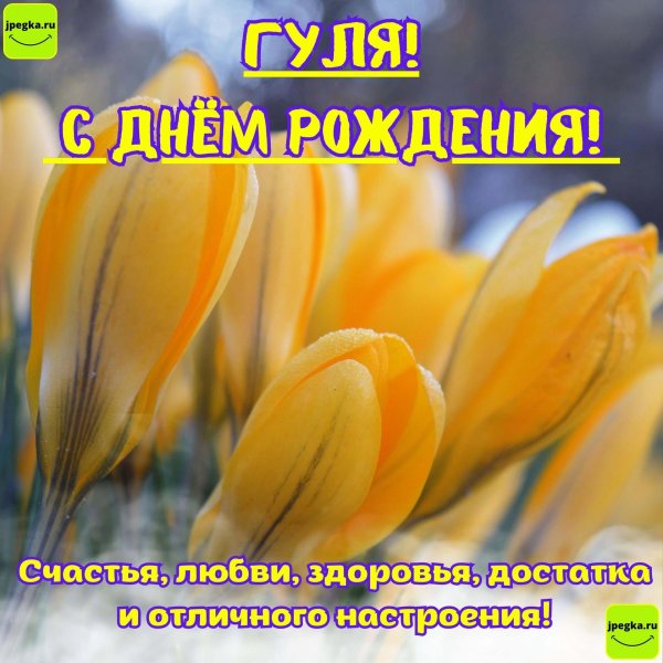 крокус желтый