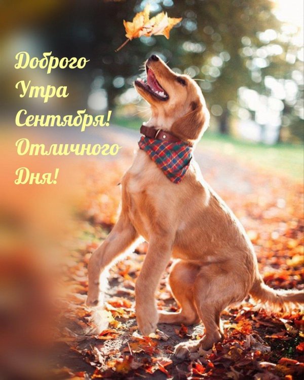 доброе сентябрьское утро