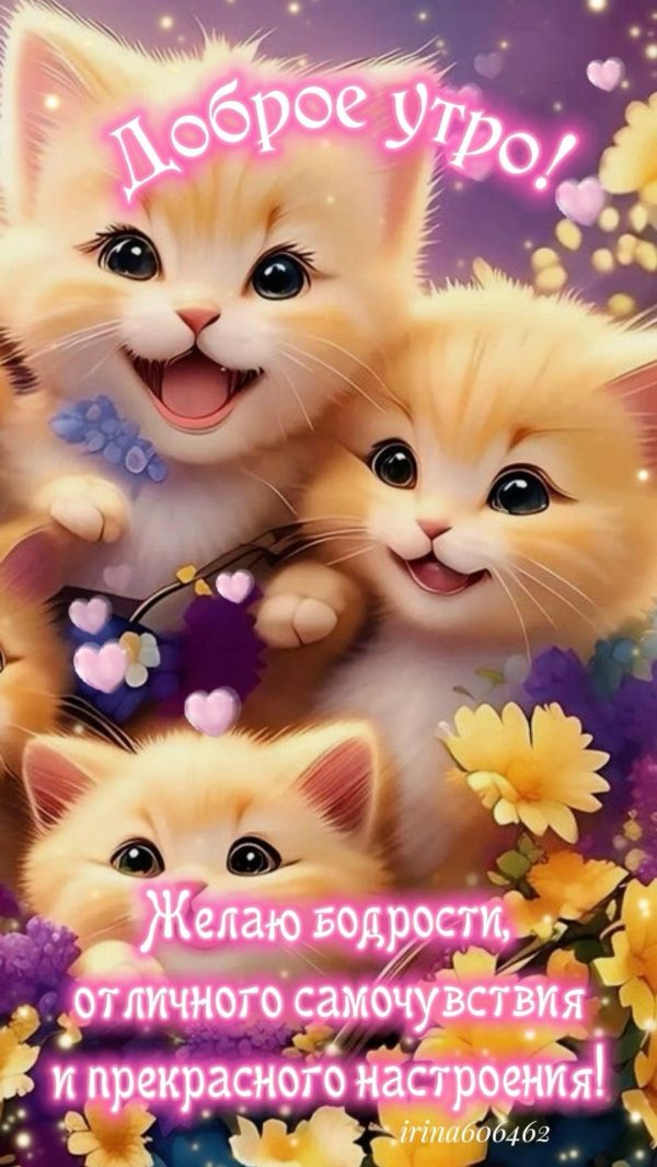 добра утра