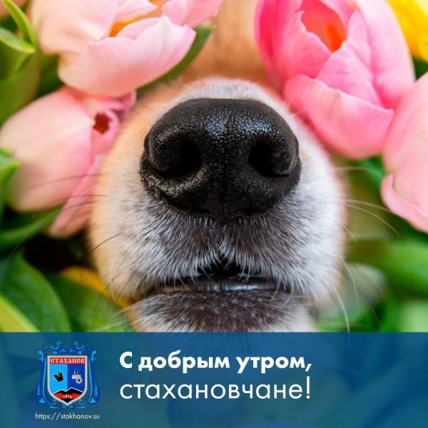 с добрым весеннем утром