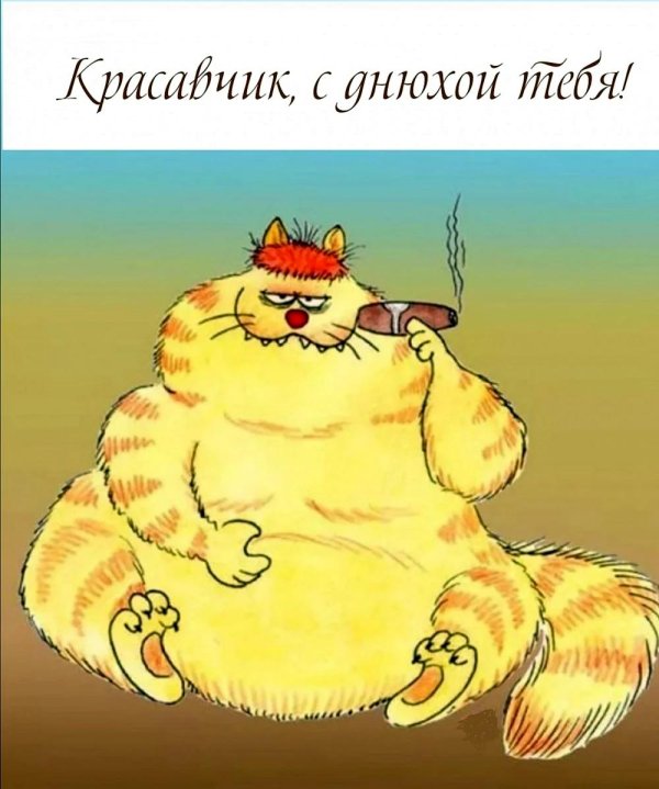 с день рождения мужчине прикольные