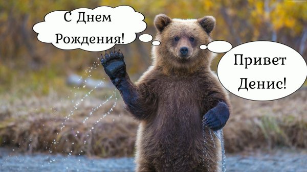 с днём рождения денис прикольные и смешные