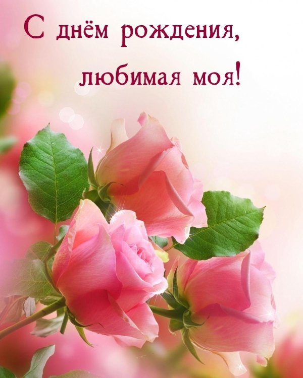 цветы живые