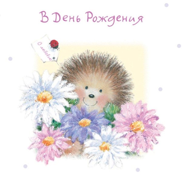 ежик с ромашками