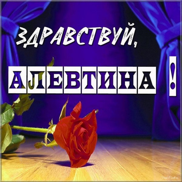 цветок роза