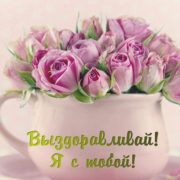 цветок красивый