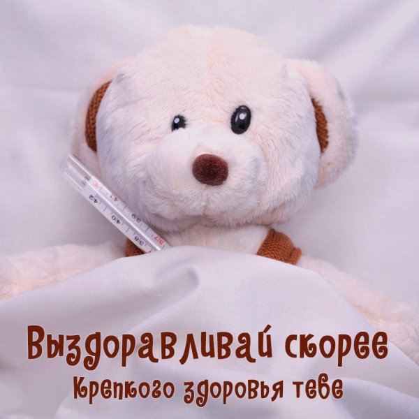 выздоравливай медвежонок