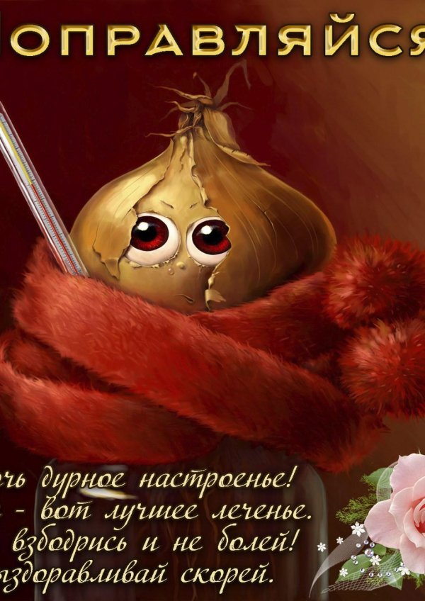 выздоравливай скорее