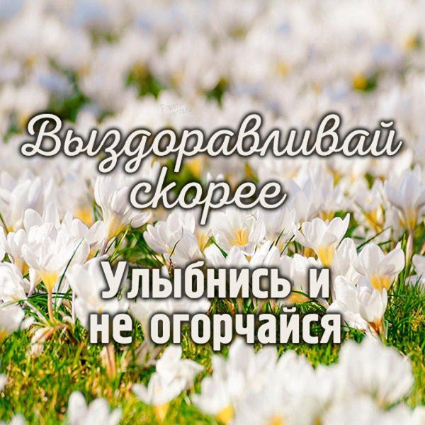 с пожеланием здоровья