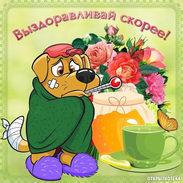 поправляйся выздоравливай