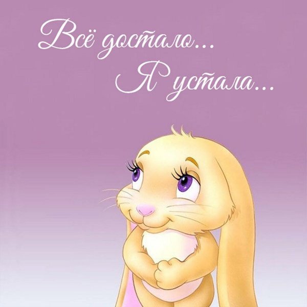 зайка скучает