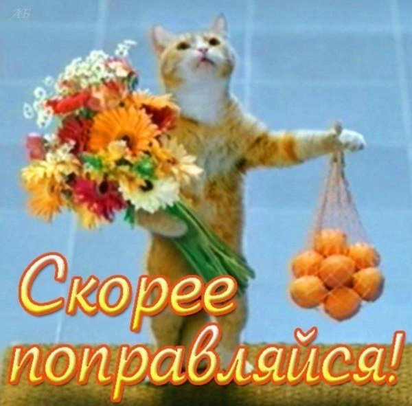 мотиватор на выздоровление