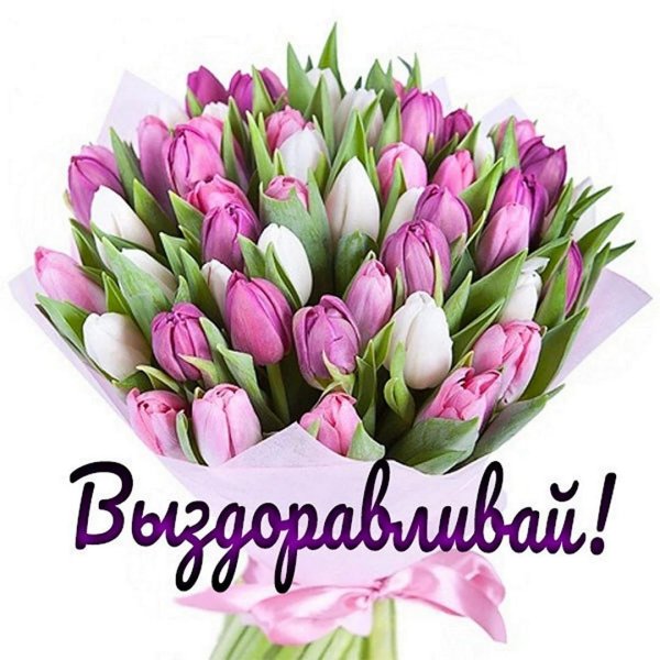 букет тюльпан