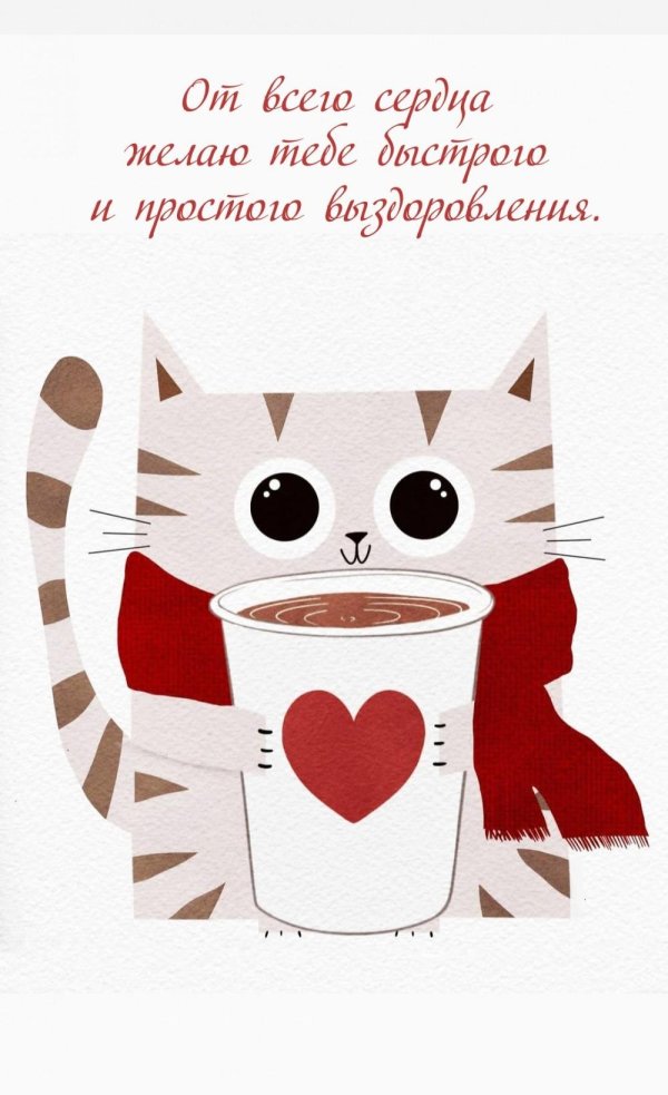 иллюстрация кот