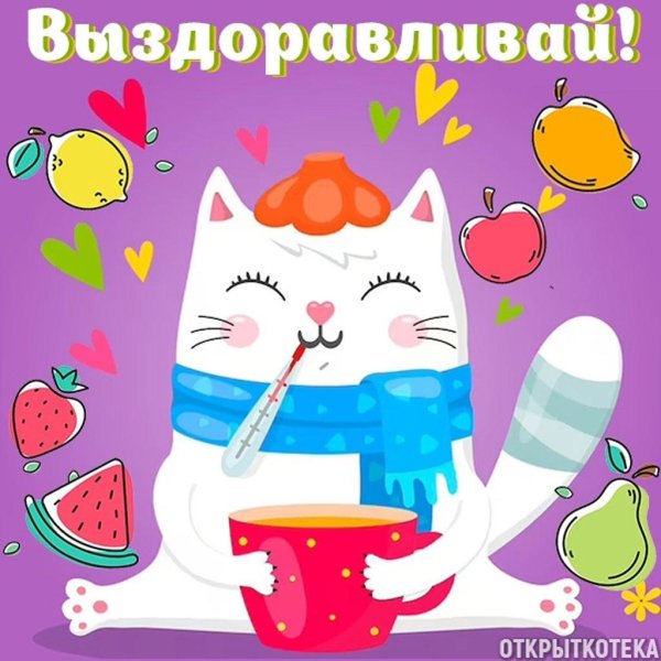 выздоравливай не болей