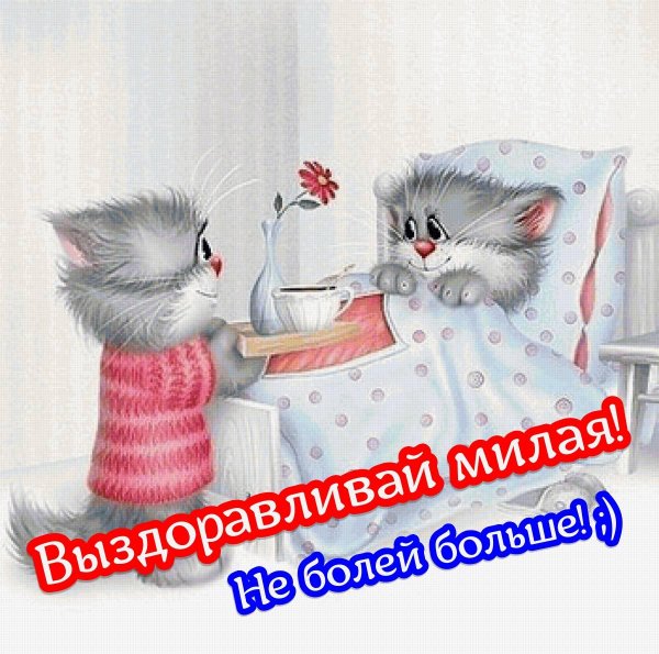 котики алексея долотова