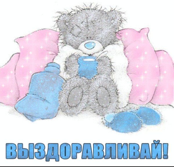 мишка тедди