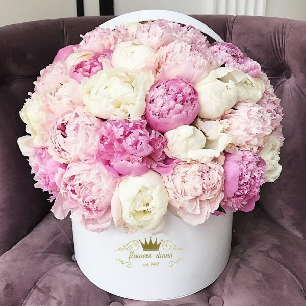 большой букет пион