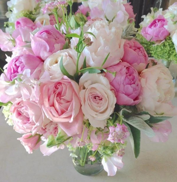 самые нежные букеты