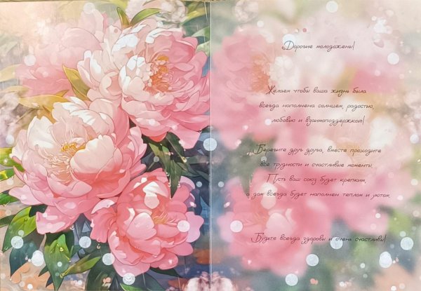 пионы открытка