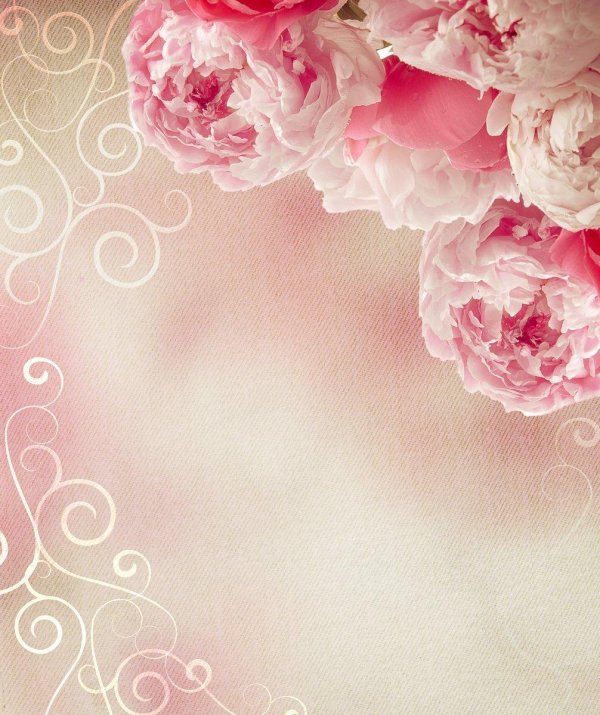 розовые пионы