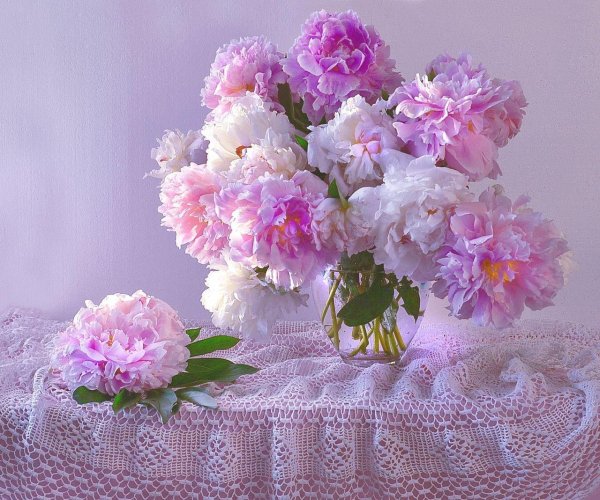 алина ланкина букет пионов