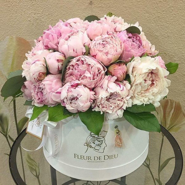 коробка с пионами