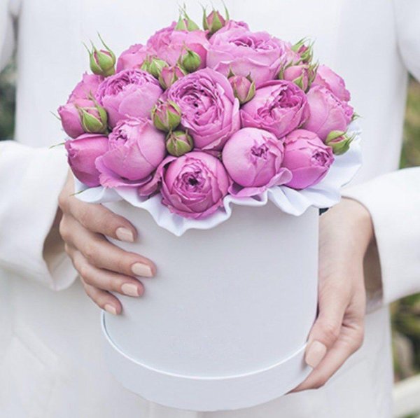 мисти баблз