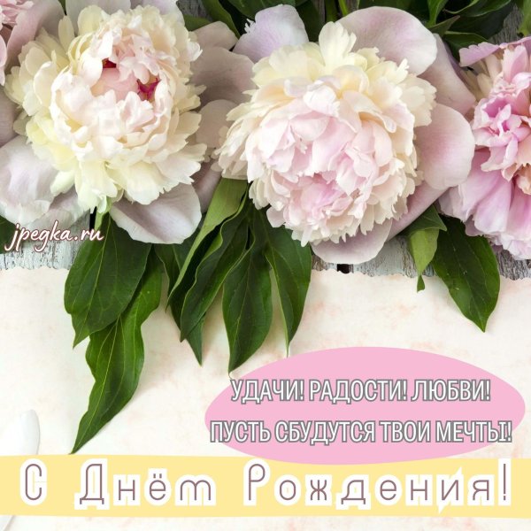 цветок пион