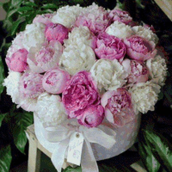 красивые букеты пионов