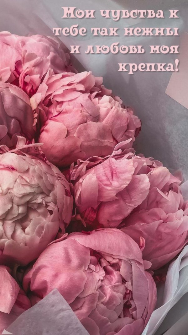 цветок пион