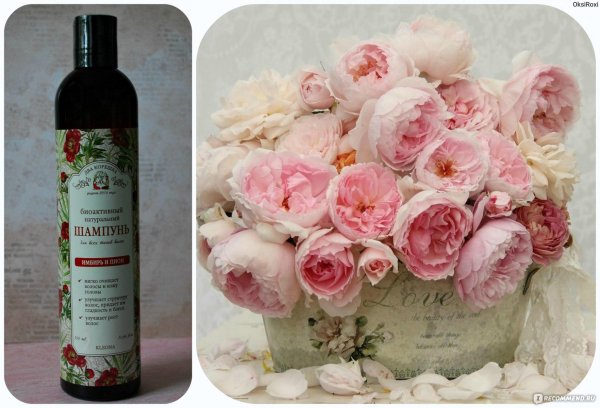 натуральный шампунь