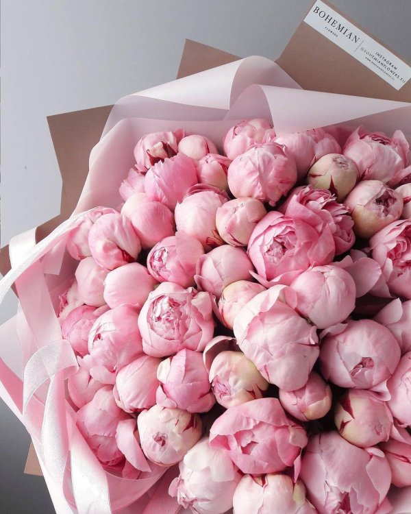 букет красивых пионов