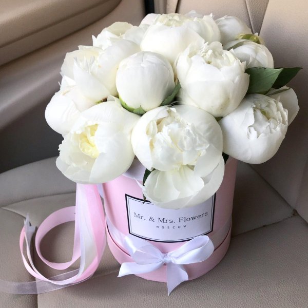 белые пионы